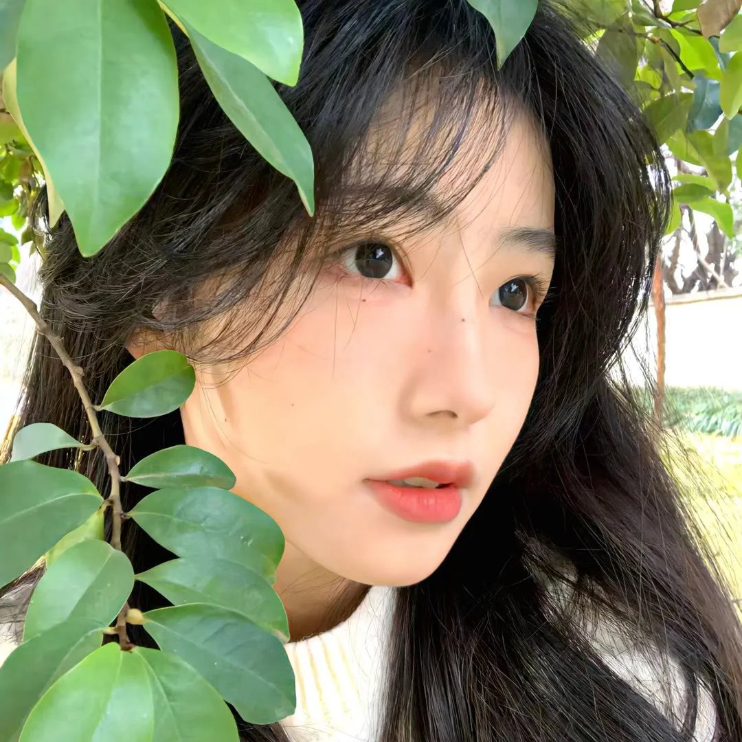 红萼纷纷