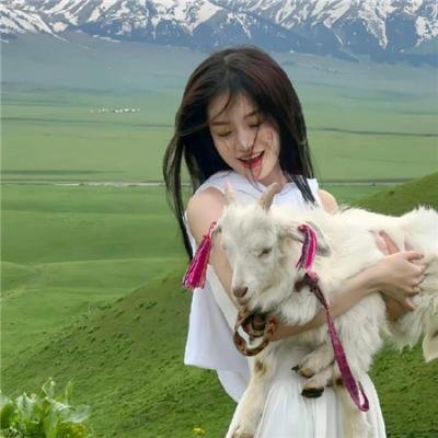 一只狗的大学时光